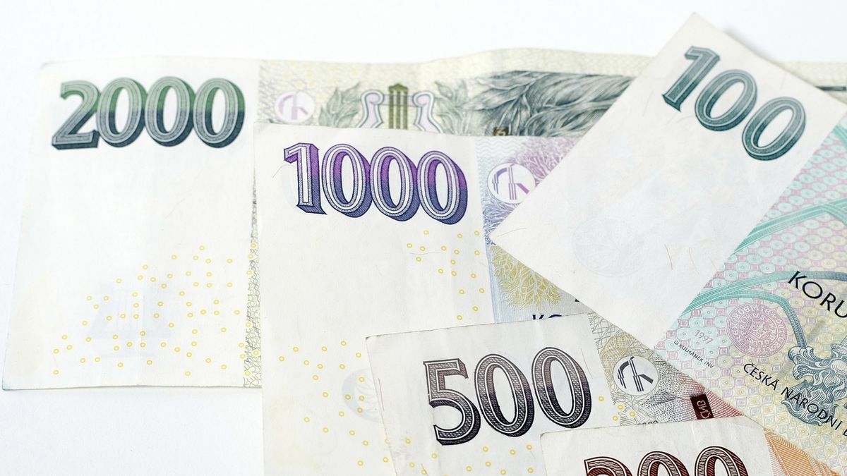 Zadlužení Čechů loni vzrostlo o 5,1 procenta
